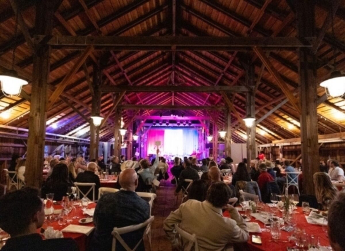 2024 Bicycles Bluegrass 547x399