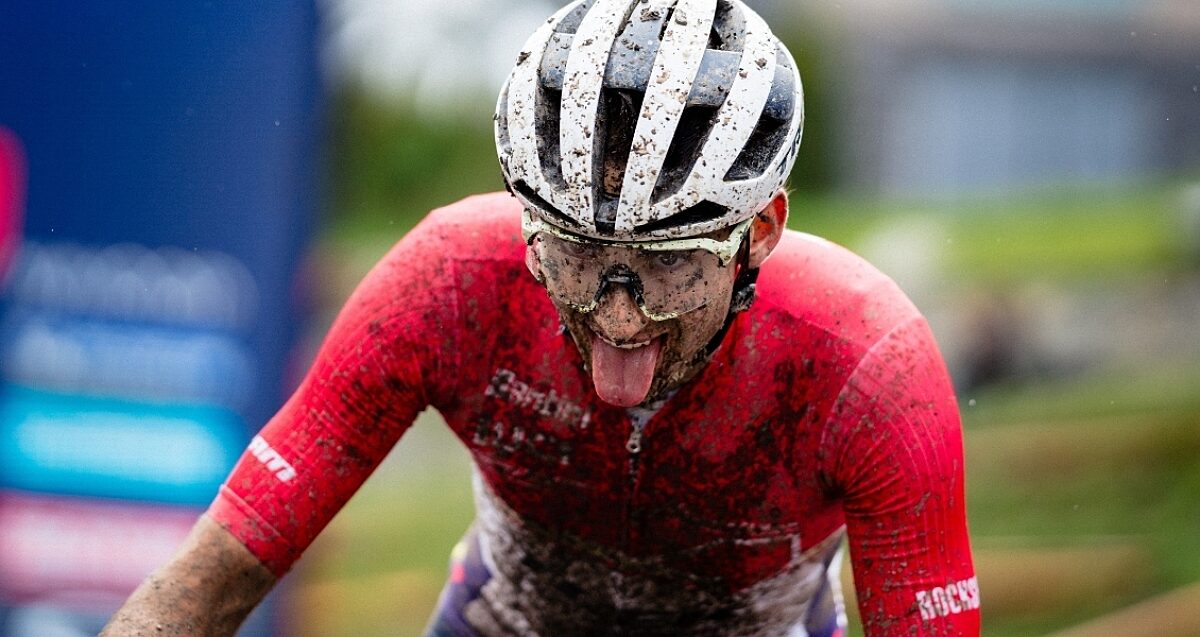 Amos Undefeated 1130x600