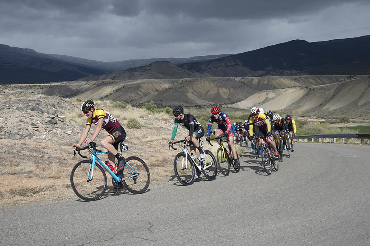 Collegiate Conference Hero Mark