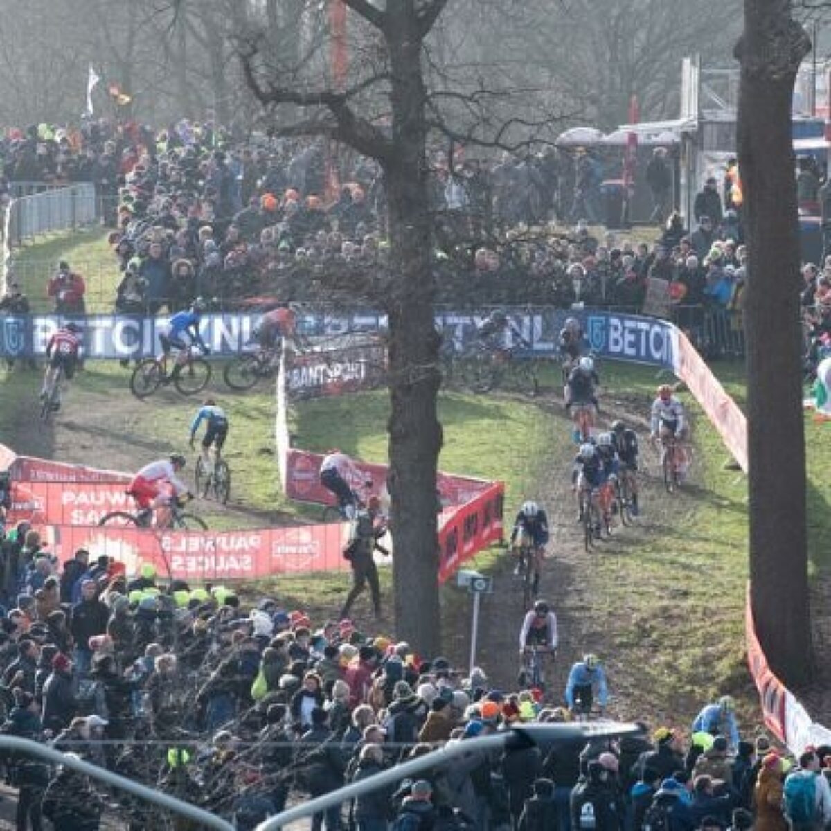 CX Master square 430x430