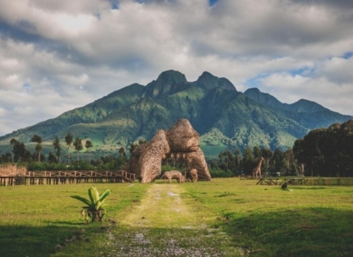 Foundation Road Worlds Safari 547x399