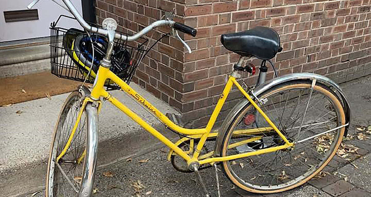 In Our Own Words Mae Sakharov Hero